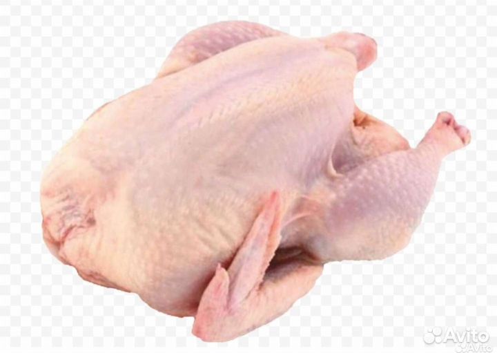Мясо домашнего бройлера