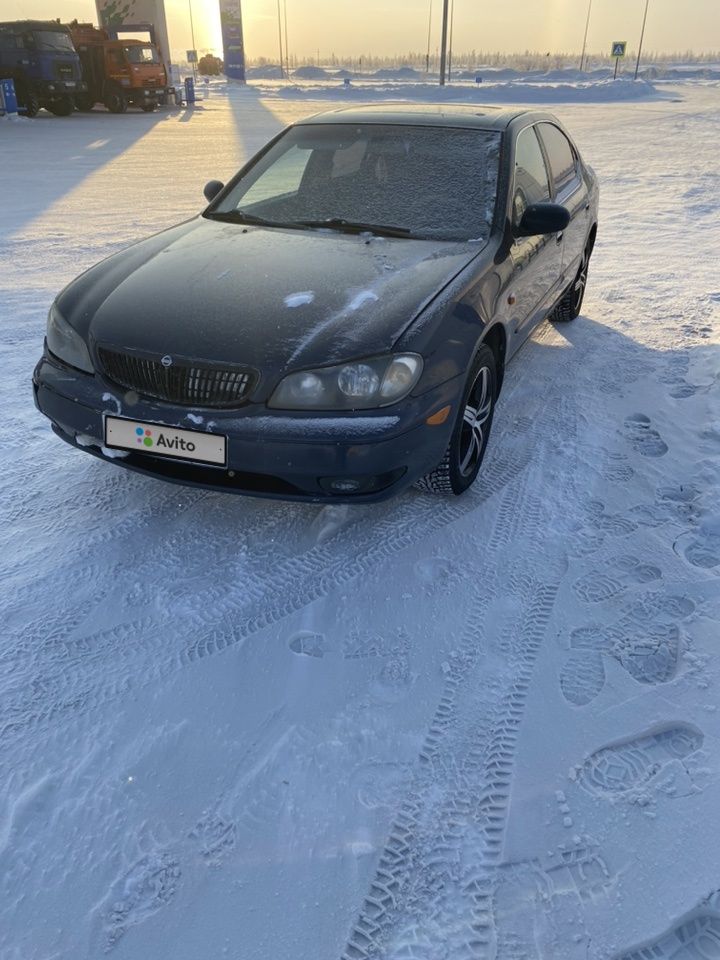 Nissan Maxima: фото владельца