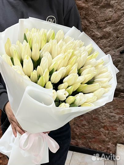 19, 51, 101 Тюльпан (Белые Тюльпаны) Букет