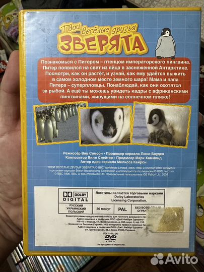 Обучающие Dvd диски