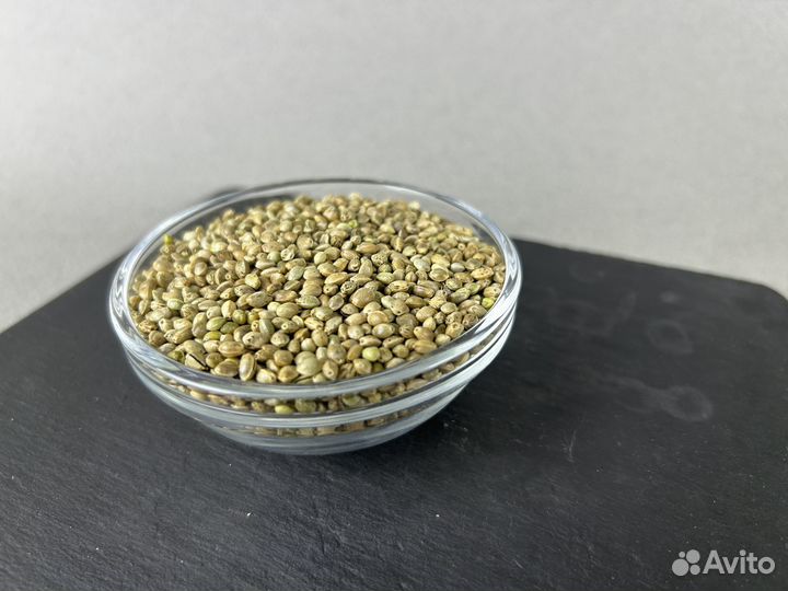 Семена конопли