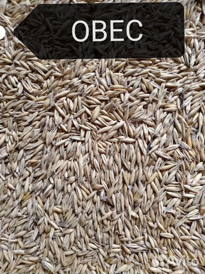 Комбикорма