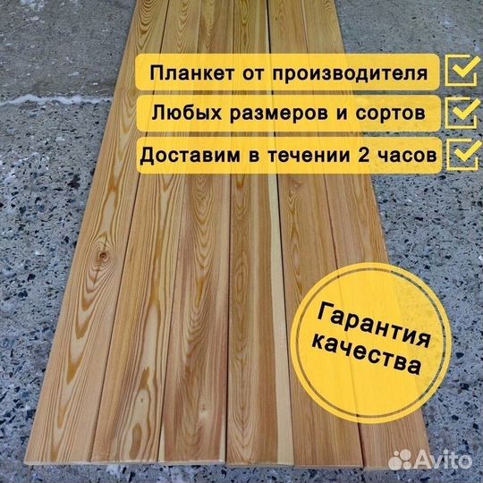Планкен прямой лиственница