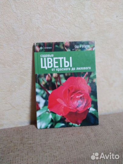 Книги новые