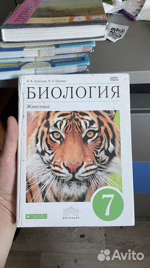 Учебники 7-8 класс