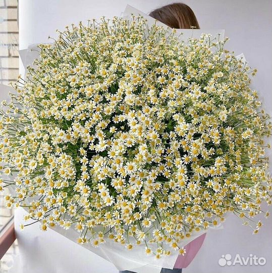 Букет ромашки