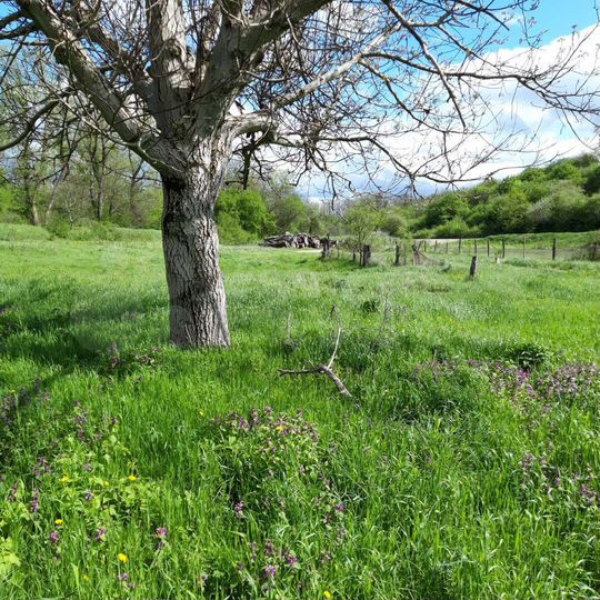 Участок 3 га (ИЖС)