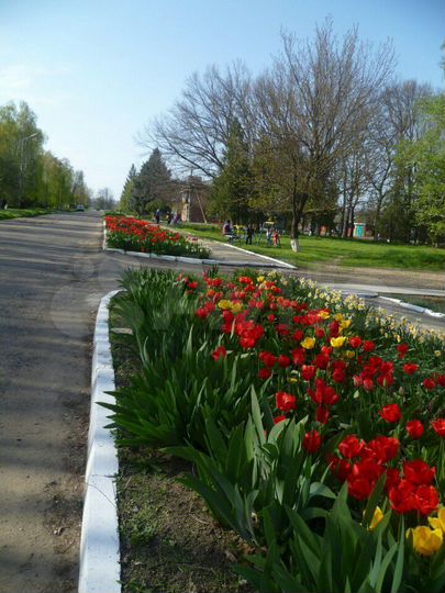 Комната 38 м² в 1-к., 1/3 эт.