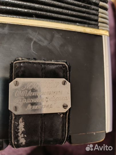 Баян ленинград