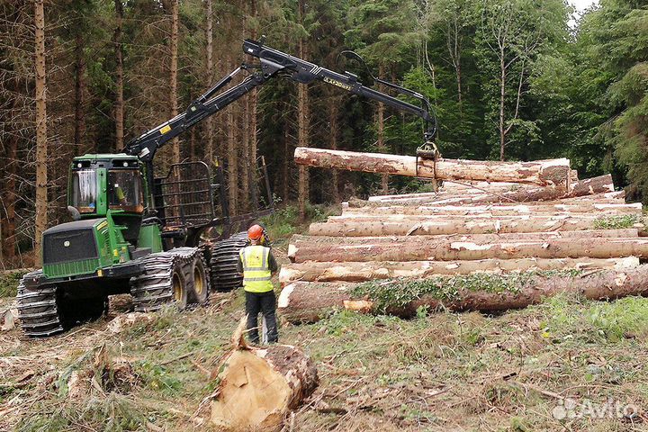 Ищу инвестора - проект Леса