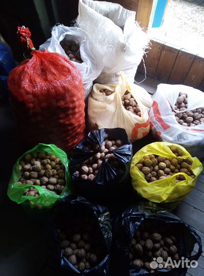Продам грецкий орех в скорлупе