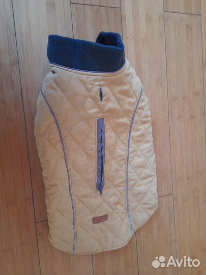 Костюмы и шлейка для собаки