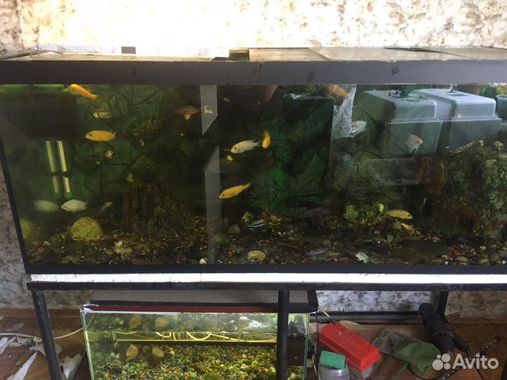 Аквариум