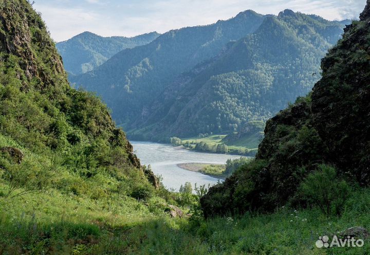 6июл24 Алтайская кругосветка /цо3048