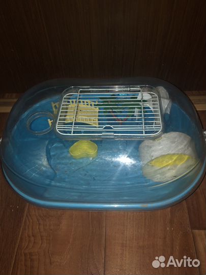 Два хомяка с клеткой