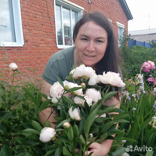 Пион ранний