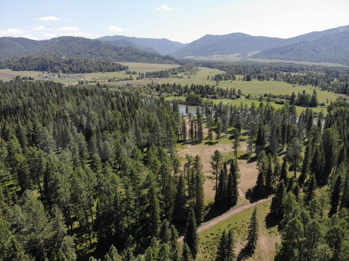 Участок 10 сот. (ИЖС)