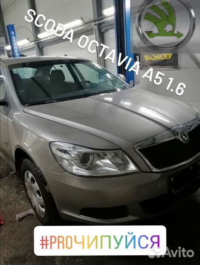 Чип-тюнинг (прошивка), евро2, егр, сажа, immo