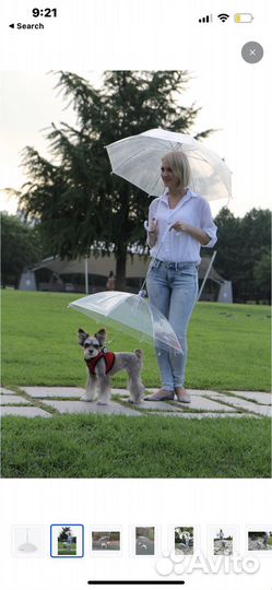 Зонт для собаки Pappia