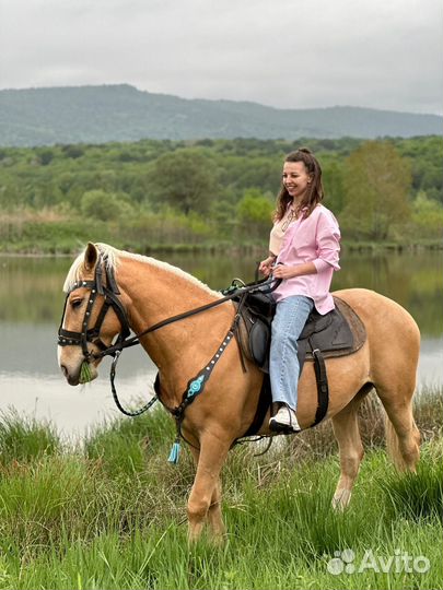 Пропали лошади