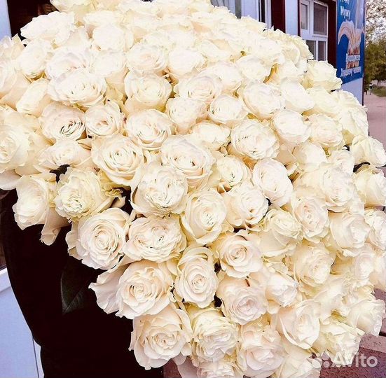 Высокие розы Гигантские розы Доставка цветов