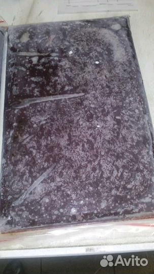 Мотыль,стрептоцифал,артемия,циклоп,коретра,дафния