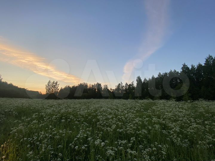Участок 1,3 га (СНТ, ДНП)