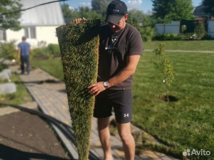 Рулонный газон в Воронеже