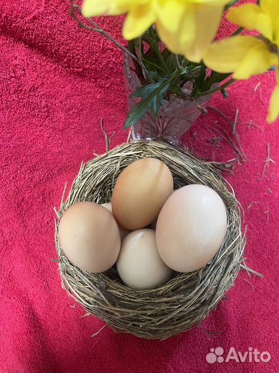 Пасхальный decor гнездо декор