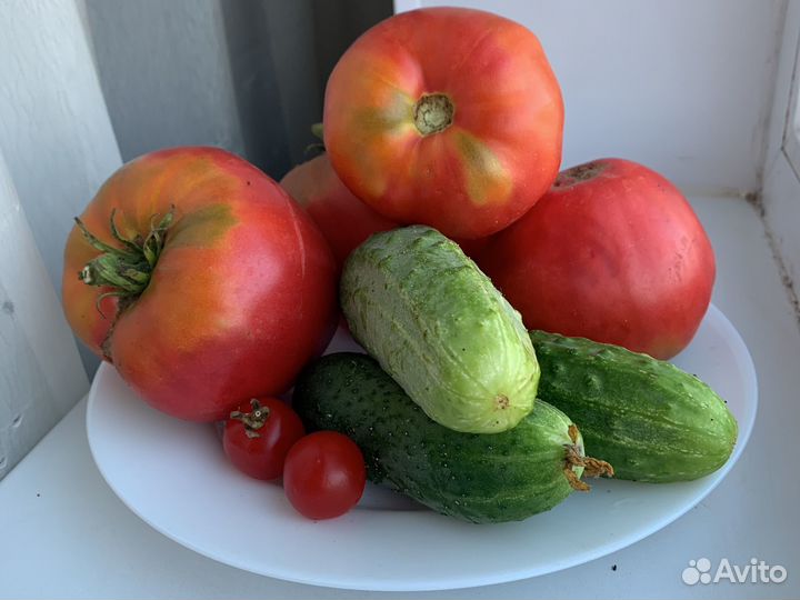 Домашние помидоры, огурцы, кабачки, яйца
