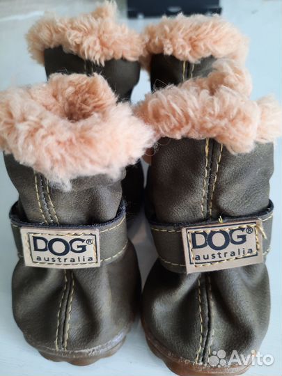 Ботинки для маленьких собак