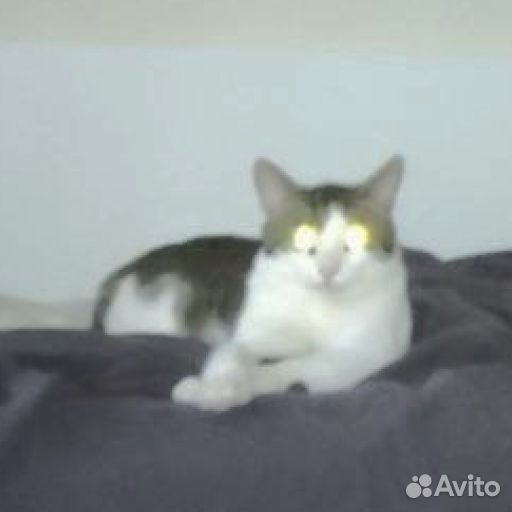 Стикеры для телеграма