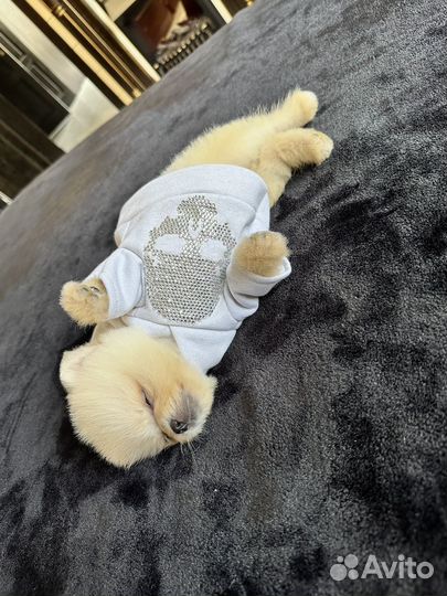 Мальчик Мишка в стрижке