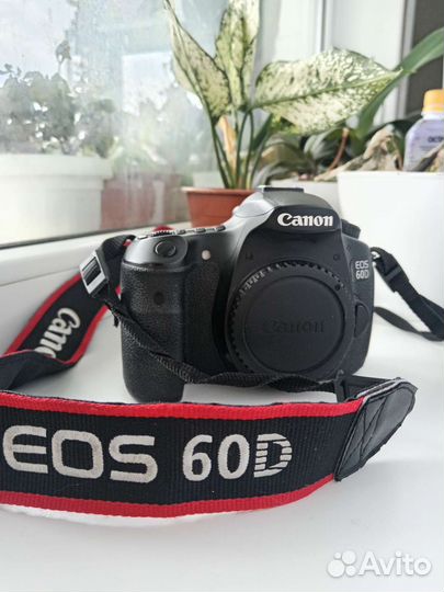 Canon eos 60d