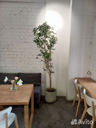 Вазоны, Горшки, Кашпо под заказ из бетона арт 24