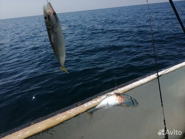 Индивидуальная морская рыбалка в Сочи