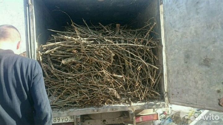 Вывоз мусора