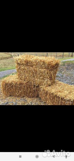 Солома в кипах
