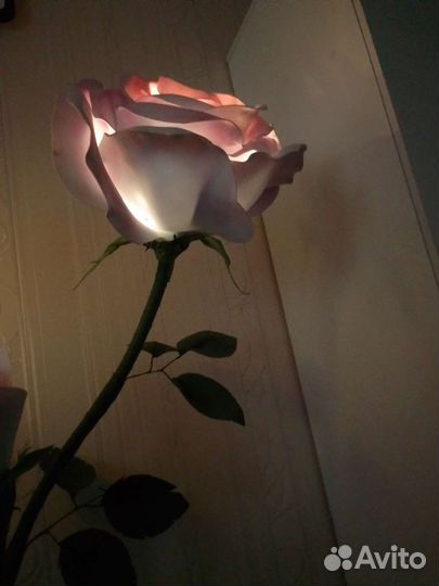 Роза ростовая- торшер
