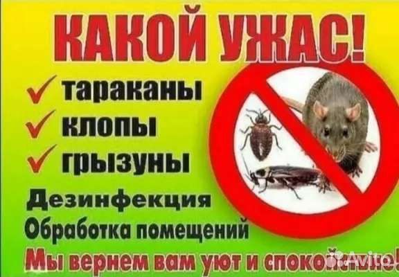 Уничтожение тараканов клопов крыс