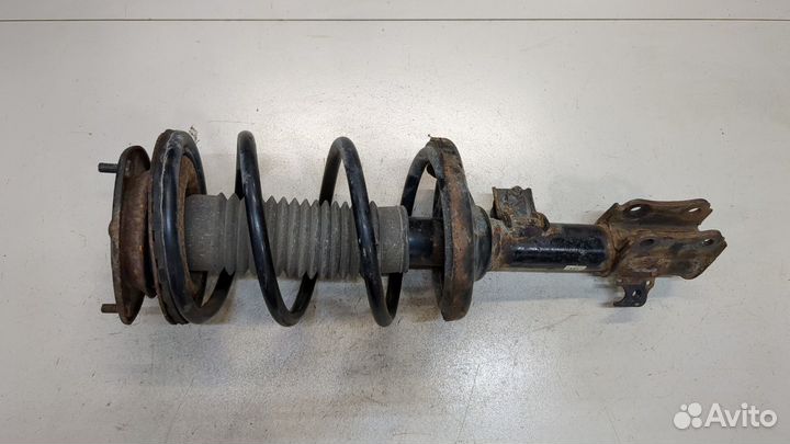 Амортизатор подвески Suzuki Liana, 2005