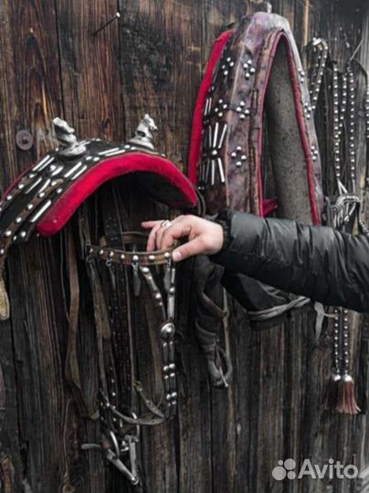 Сбруя 2 комплекта