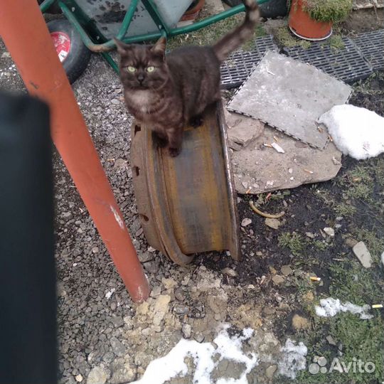 Диски на камаз маз китаец евро