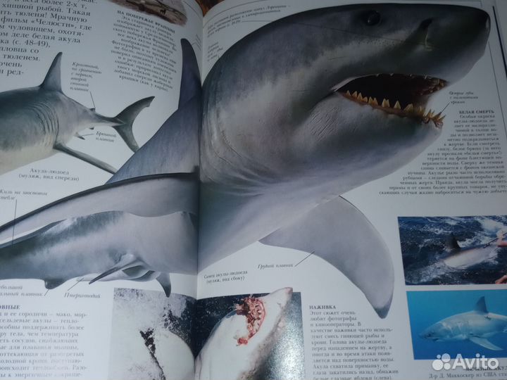 Животный Мир. Серия 