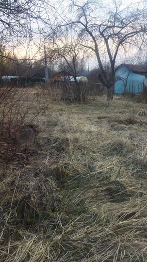Участок 5 сот. (СНТ, ДНП)
