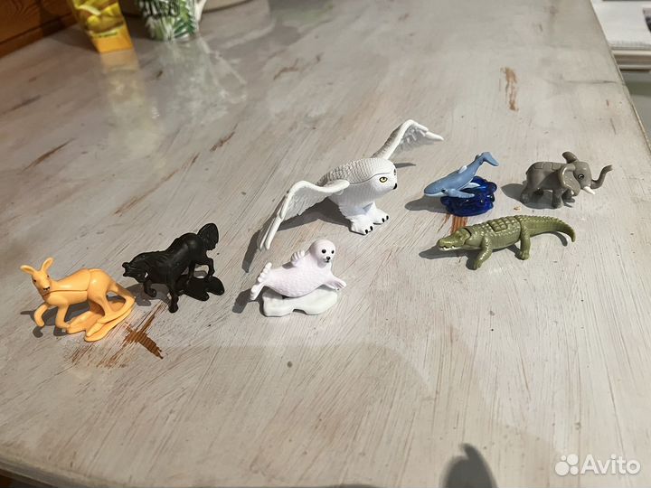 Сова киндер макси и животные киндер натунс