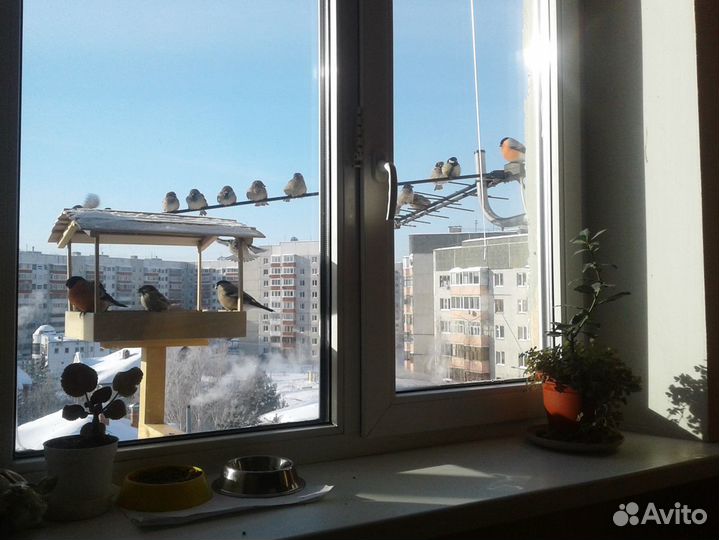 Кормушка для птиц