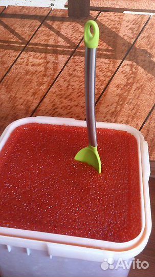 Красная икра. Камчатка. Путина 2024