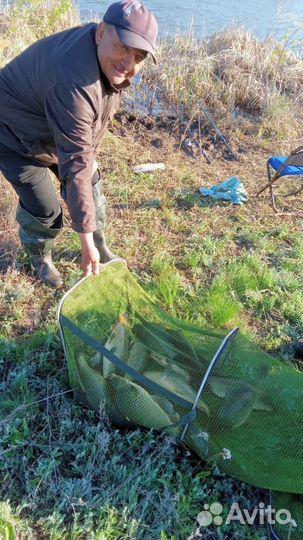 Рыбалка и отдых. Пруд Радищевский