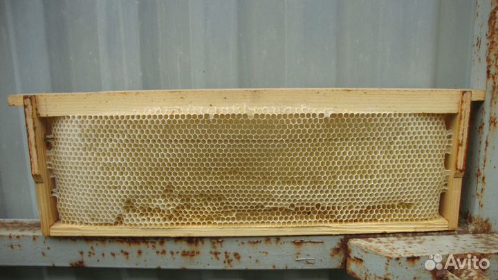 Сушь для пчел